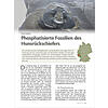 PHOSPHATISIERTE FOSSILIEN DES HUNSRCKSCHIEFERS