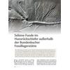 SELTENE FUNDE IM HUNSRCK- SCHIEFER AUSSERHALB DER BUNDENBACHER FOSSILLAGERSTTTE
