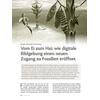 VOM EI ZUM HAI: WIE DIGITALE BILDGEBUNG EINEN NEUEN ZUGANG ZU FOSSILIEN ERFFNET