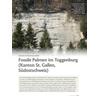 FOSSILE PALMEN IM TOGGENBURG (KANTON ST. GALLEN, S�D- OSTSCHWEIZ)