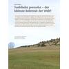 SUEBIBELUS - DER KLEINSTE BELEMNIT DER WELT?