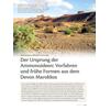 DER URSPRUNG DER AMMONOIDEEN: VORFAHREN UND FR�HE FORMEN A. DEM DEVON MAROKKOS