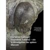 DIE S�RVE-HALBINSEL (SAAREMAA ESTLAND) - EIN SCHL�SSELGEBIET DER SP�TEN SILURZEIT