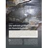 DIE WELTWEIT GR�SSTEN FRESS- BAUE IM HUNSR�CKSCHIEFER