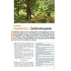 SPIELEHITS: GELNDESPIELE