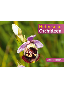 HEIMISCHE ORCHIDEEN POSTKARTENBUCH