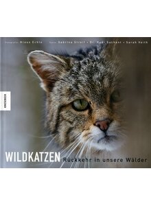 WILDKATZEN - ECHLE/STREIF/SUCHANT/VEITH