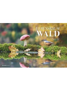 KALENDER LEBENSRAUM WALD 2025 -