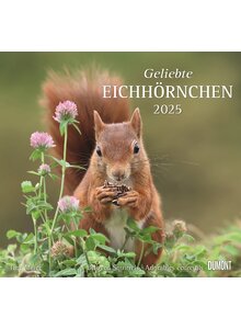 KALENDER GELIEBTE EICHHRNCHEN 2025 - CHRISTINE MEIER