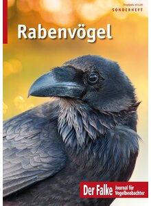Auf diesem Bild sehen Sie das Produktbild für RABENVÖGEL - DER FALKE SONDERHEFT
