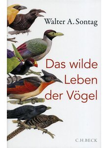 Auf diesem Bild sehen Sie das Produktbild für DAS WILDE LEBEN DER VÖGEL - WALTER A. SONTAG