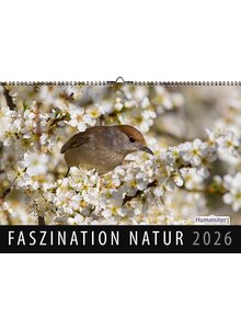 Auf diesem Bild sehen Sie das Produktbild für FASZINATION NATUR 2026 - HUMANITAS WANDKALENDER