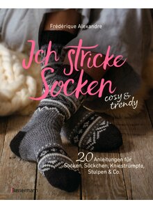Auf diesem Bild sehen Sie das Produktbild für ICH STRICKE SOCKEN - FRÉDÉRIQUE ALEXANDRE