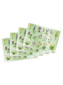 Auf diesem Bild sehen Sie das Produktbild für TISCHSET WIESENBLUMEN 4ER-SET