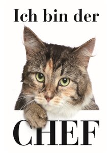 Auf diesem Bild sehen Sie das Produktbild für BLECHSCHILD ICH BIN DER CHEF (KATZE) 20 x30 CM