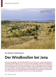 IM HERZEN THRINGENS DER WIND KNOLLEN BEI JENA