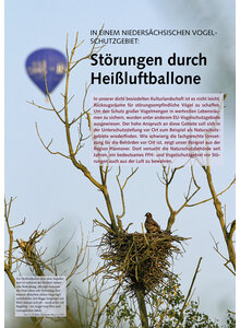 IN EINEM NIEDERSCHSISCHEN VOGELSCHUTZGEBIET STRUNGEN DURCH HEISSLUFTBALLONE