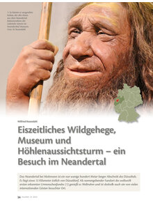 EISZEITLICHES WILDGEHEGE, MUSEUM UND HHLENAUSSICHTSTURM - EIN BESUCH IM NEANDERTAL