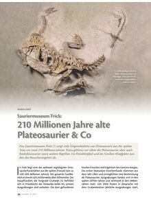 SAURIERMUSEUM FRICK: 210 MILLIONEN JAHRE ALTE PLATEOSAURIER & CO